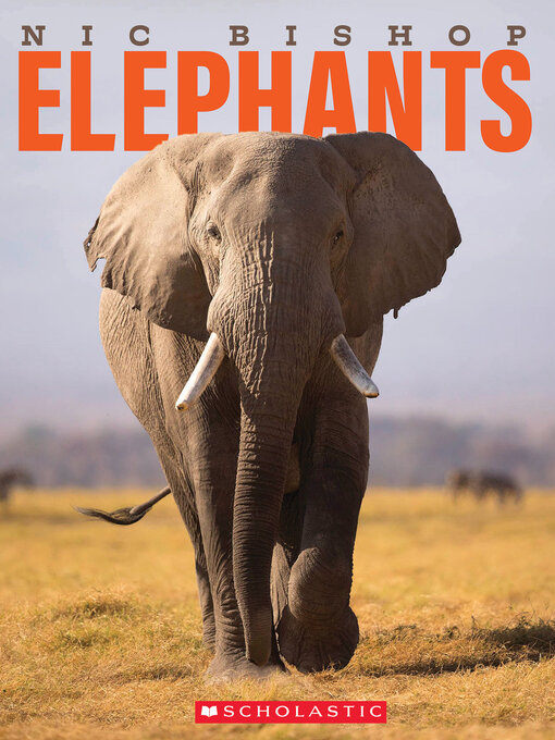 Title details for Nic Bishop Elephants by Nic Bishop - Available